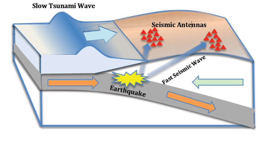 Fast seismic waves reach onshore arrays well before the slow