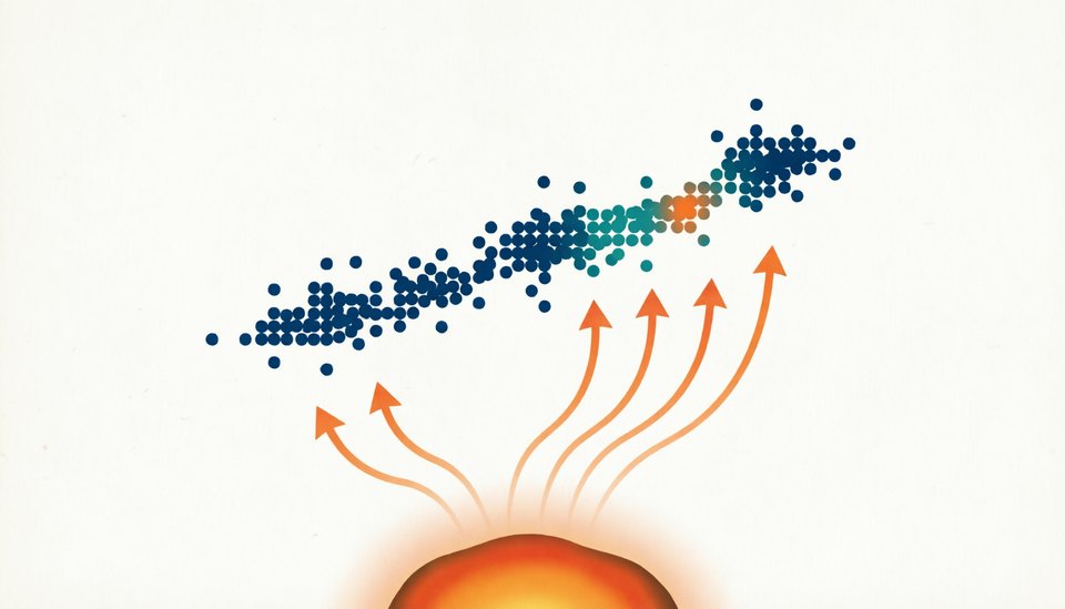 Earthquake Swarms & Fluid-Driven Seismicity illustration